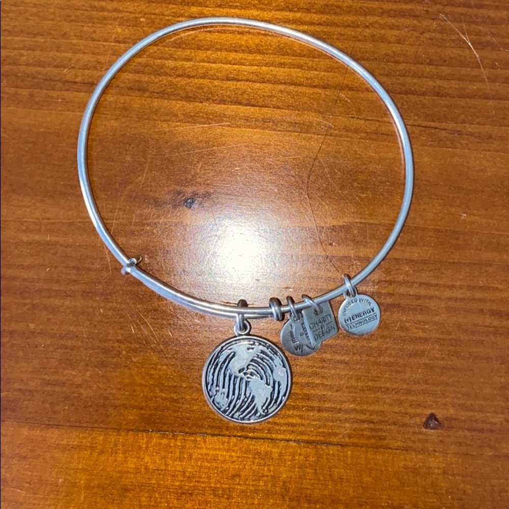 Alex & Ani World Map Charm Bangle